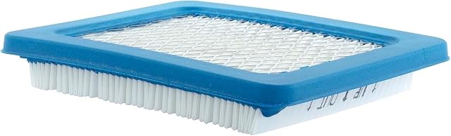 Cartuccia filtro aria originale Briggs & Stratton 491588S in carta pieghettata